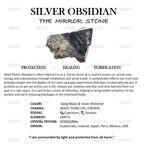 Silver Obsidian Bracelet – Lucky Charm for Power, Focus & Protection